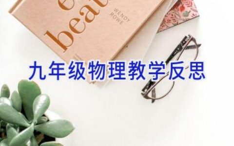 九年级物理教学反思