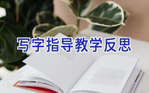 写字指导教学反思