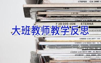 大班教师教学反思