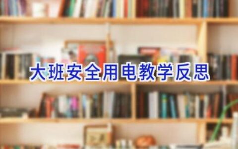 大班安全用电教学反思