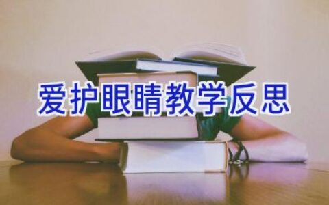 爱护眼睛教学反思