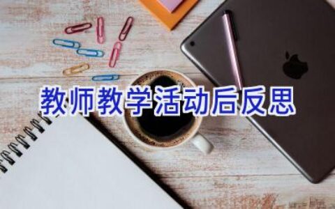 教师教学活动后反思