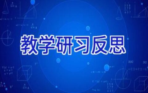 教学研习反思
