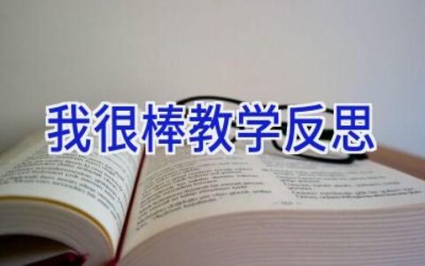 我很棒教学反思