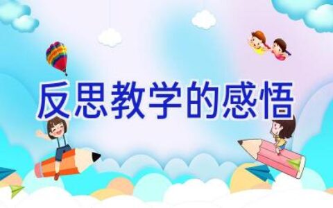 反思教学的感悟