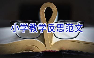 小学教学反思范文