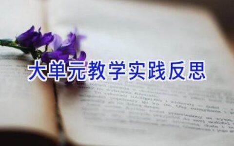 大单元教学实践反思