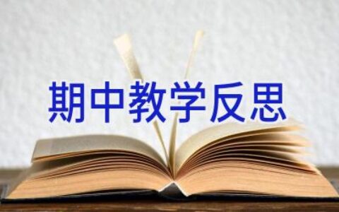 期中教学反思