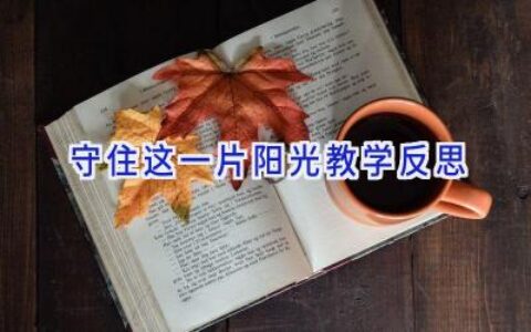 守住这一片阳光教学反思
