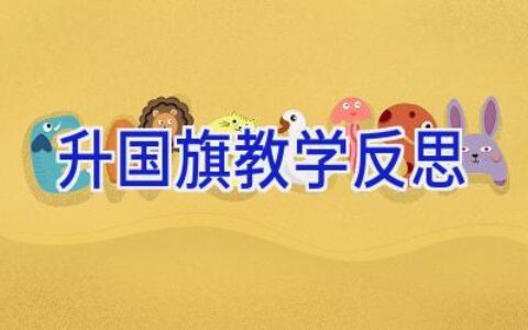 升国旗教学反思