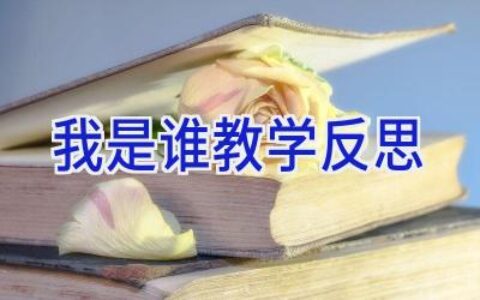 我是谁教学反思