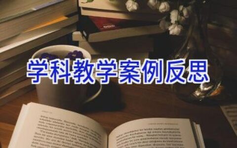 学科教学案例反思