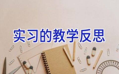 实习的教学反思