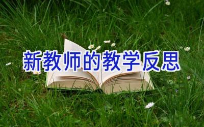 新教师的教学反思