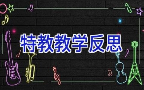 特教教学反思
