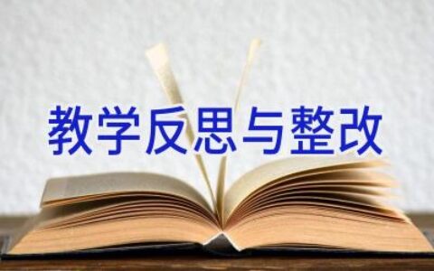 教学反思与整改