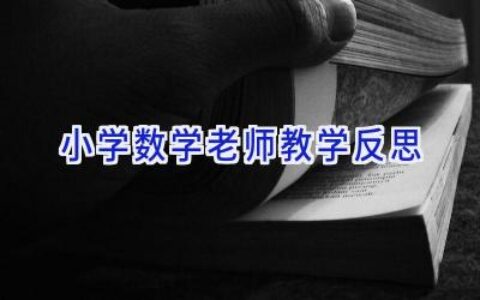 小学数学老师教学反思