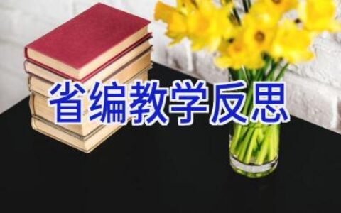 省编教学反思