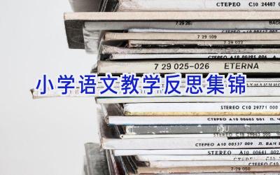 小学语文教学反思集锦