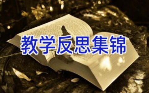 教学反思集锦