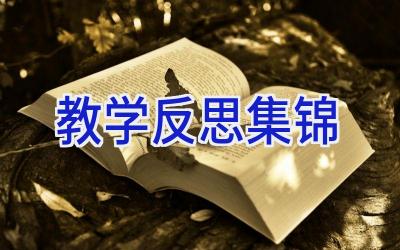 教学反思集锦
