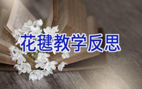 花毽教学反思