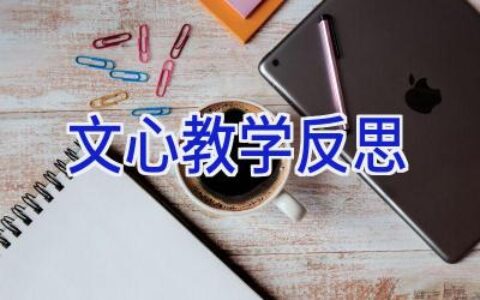 文心教学反思