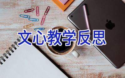 文心教学反思