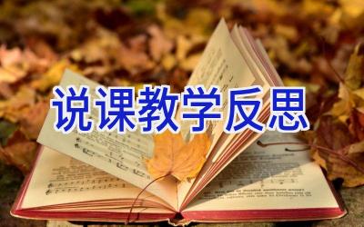 说课教学反思