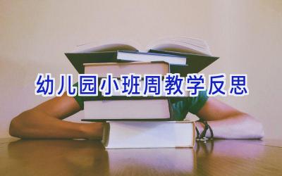 幼儿园小班周教学反思