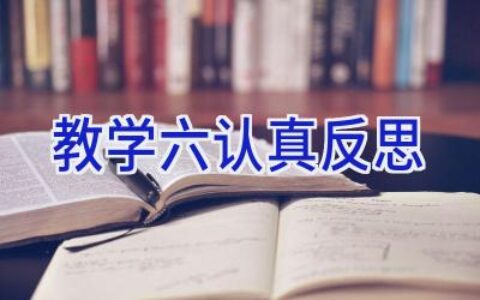 教学六认真反思