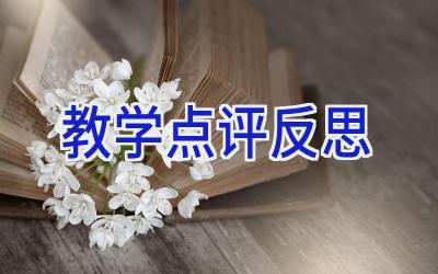 教学点评反思