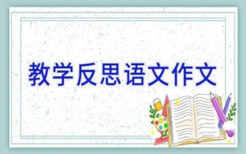 教学反思语文作文