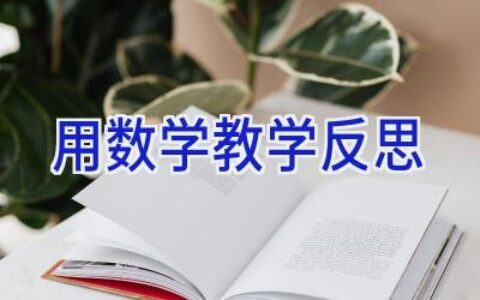 用数学教学反思
