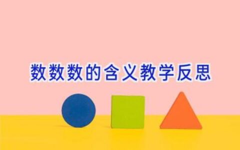 数数数的含义教学反思