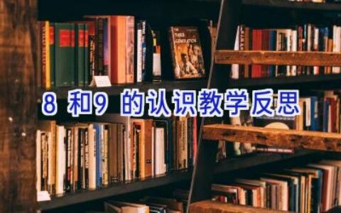 8和9的认识教学反思
