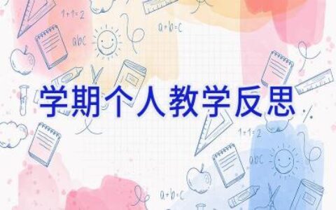 学期个人教学反思