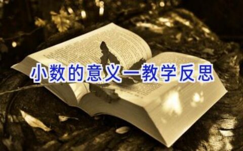 小数的意义一教学反思