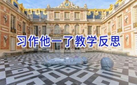 习作他一了教学反思