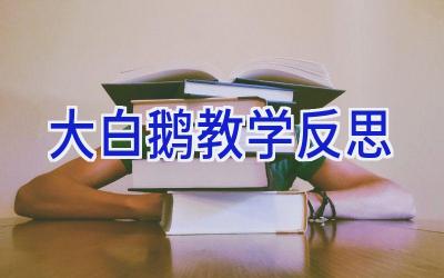 大白鹅教学反思