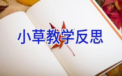 小草教学反思