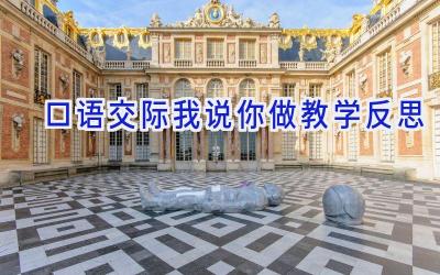 口语交际我说你做教学反思