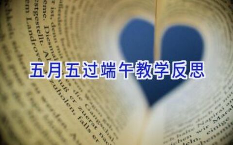 五月五过端午教学反思