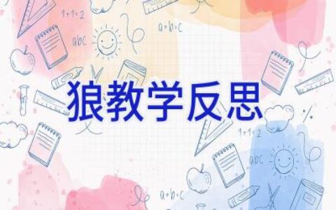 狼教学反思