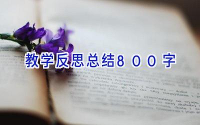 教学反思总结800字