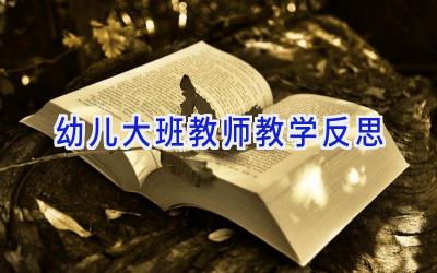 幼儿大班教师教学反思