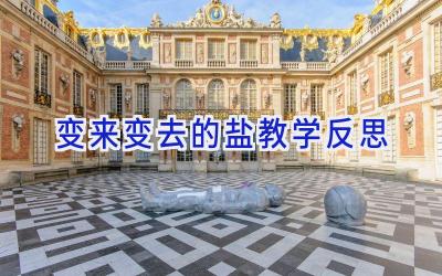 变来变去的盐教学反思