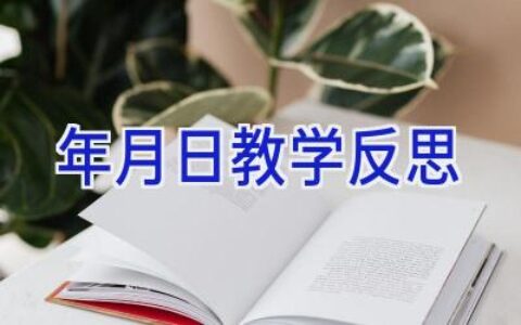 年月日教学反思