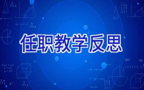 任职教学反思