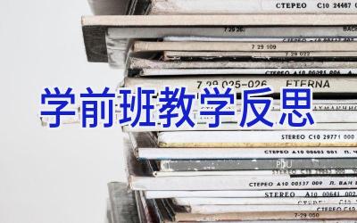 学前班教学反思